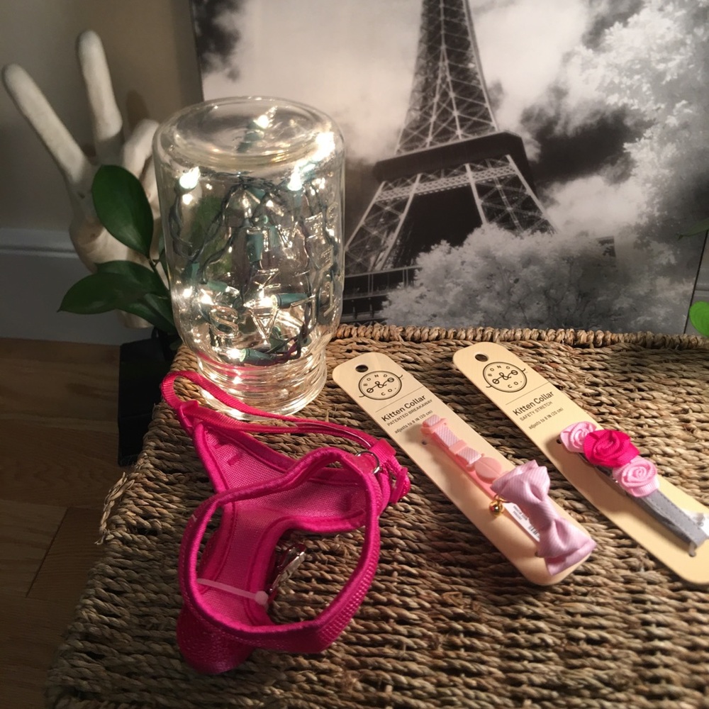 NWT Kitten Bundle (2)Collars+Harness!